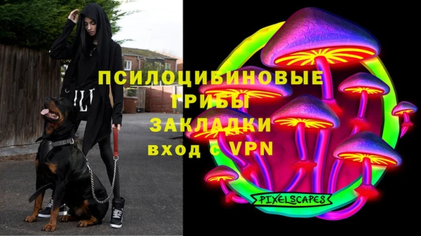 амф Медногорск